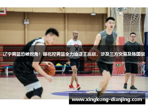 辽宁男篮恐被挖角！曝北控男篮全力追逐王岚嵚，涉及三方交易及陈国豪